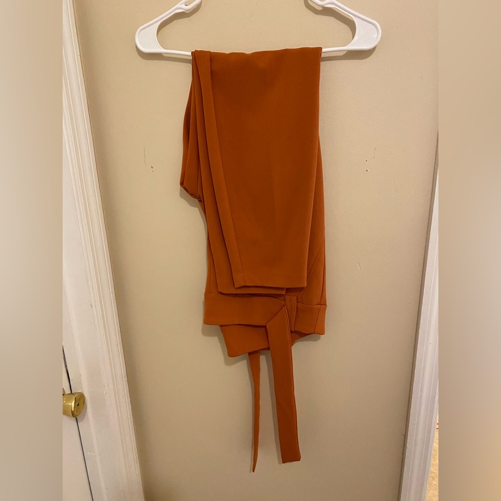 Rust Professional Trousers